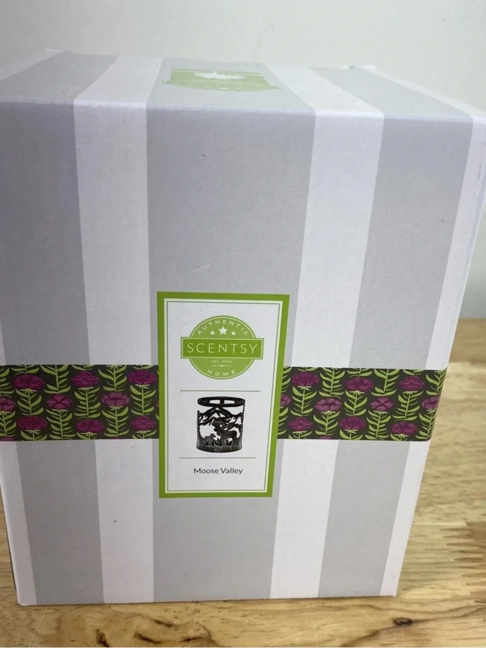 Scentsy electric wax